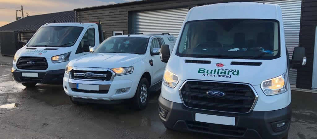 Trusted & Professional